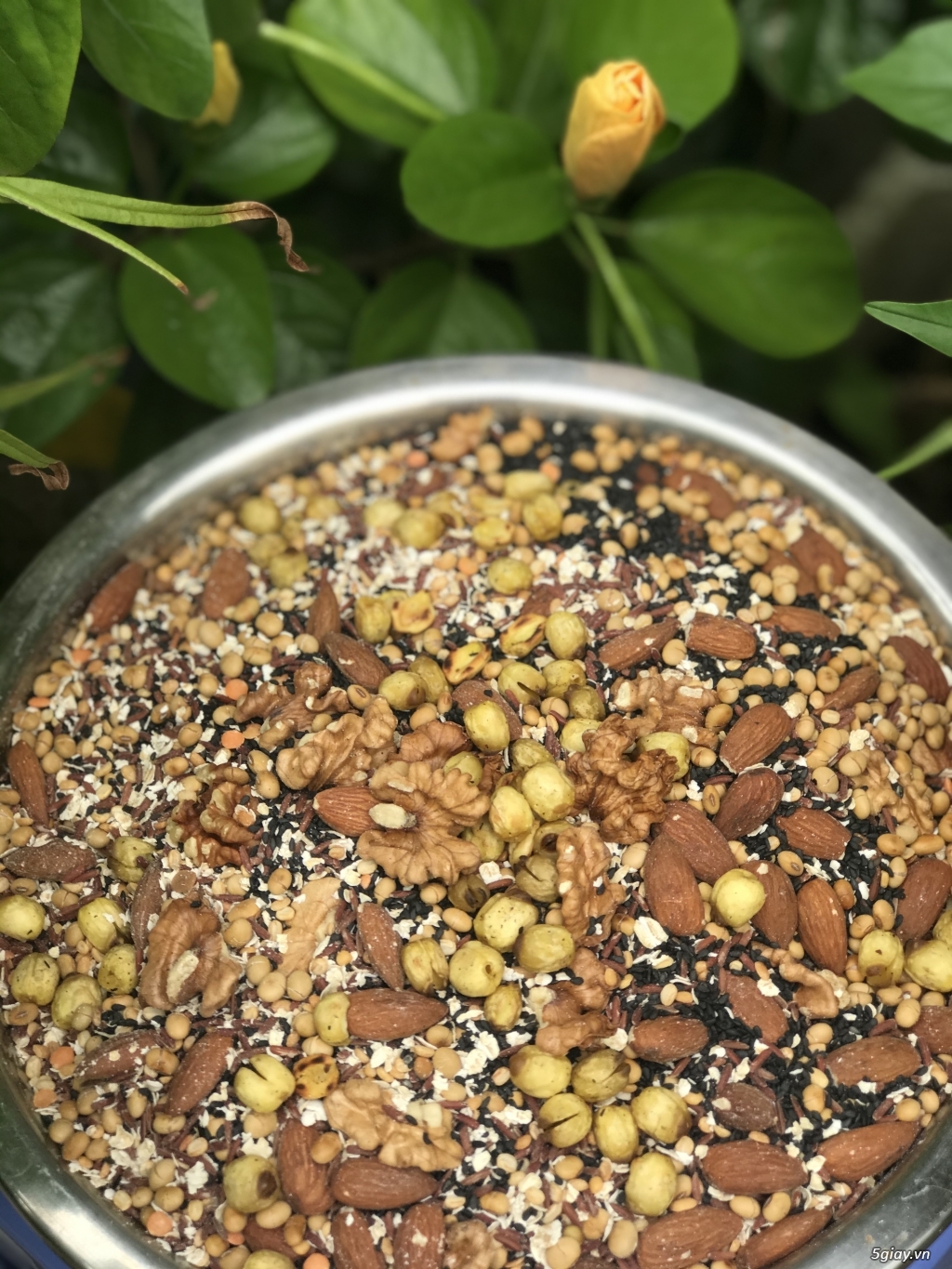 Bột ngũ cốc lợi sữa - 4