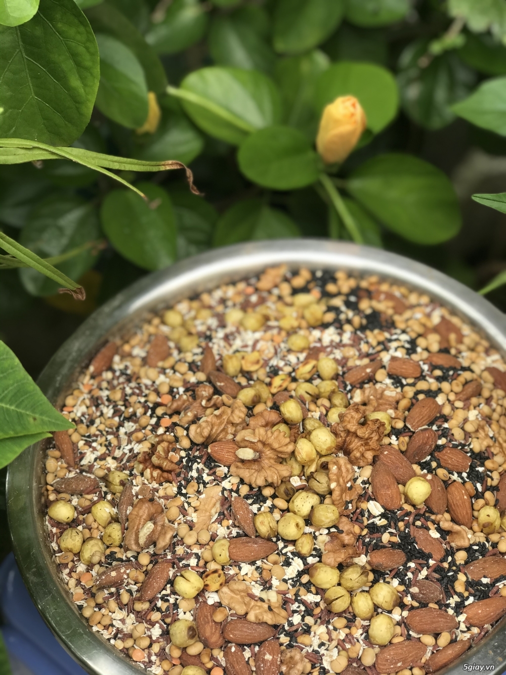 Bột ngũ cốc lợi sữa - 8