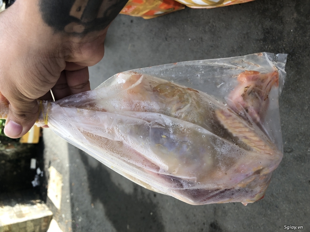 Gà tre làm sạch - 1