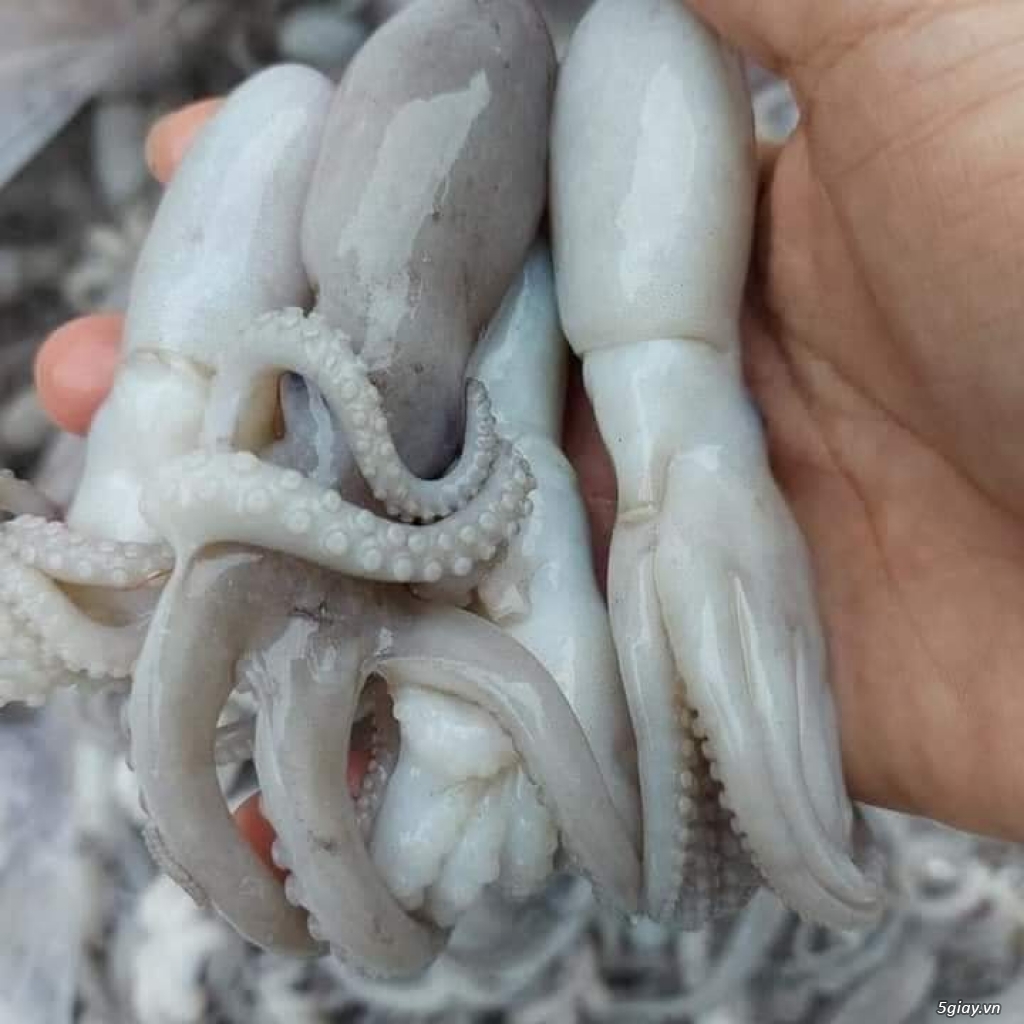 Thực phẩm tươi sống - 3