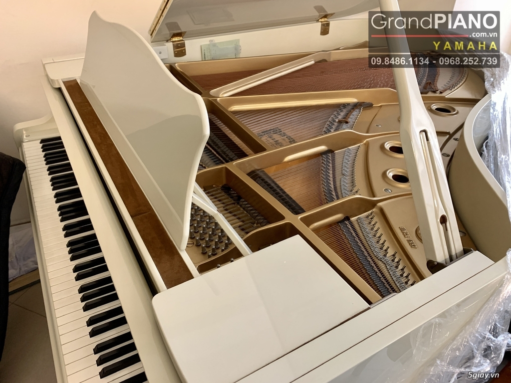 PIANO GRAND YAMAHA C3 màu trắng được nhiều khách hàng săn đón - 2