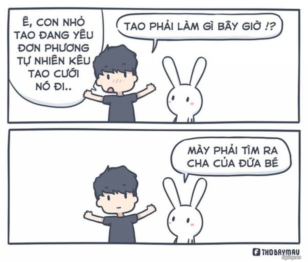 Năm nay ổn không anh em