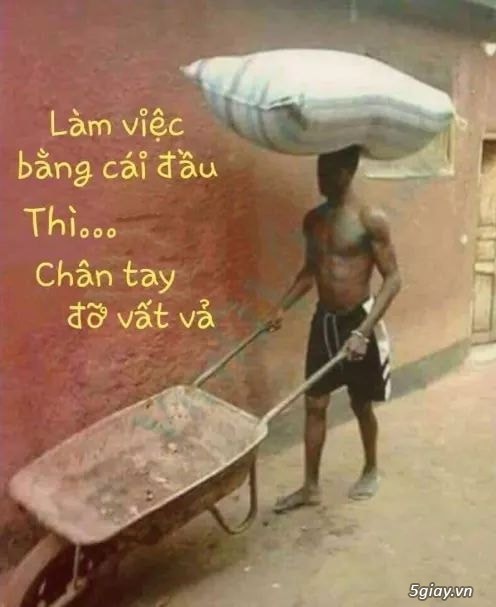 Năm nay ổn không anh em - 1