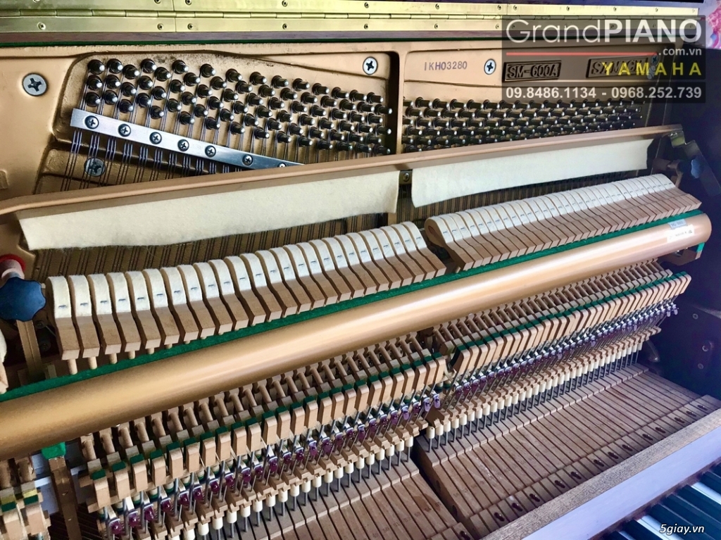 Đàn Piano SAMICK SM600A (IKHO3280) - 8