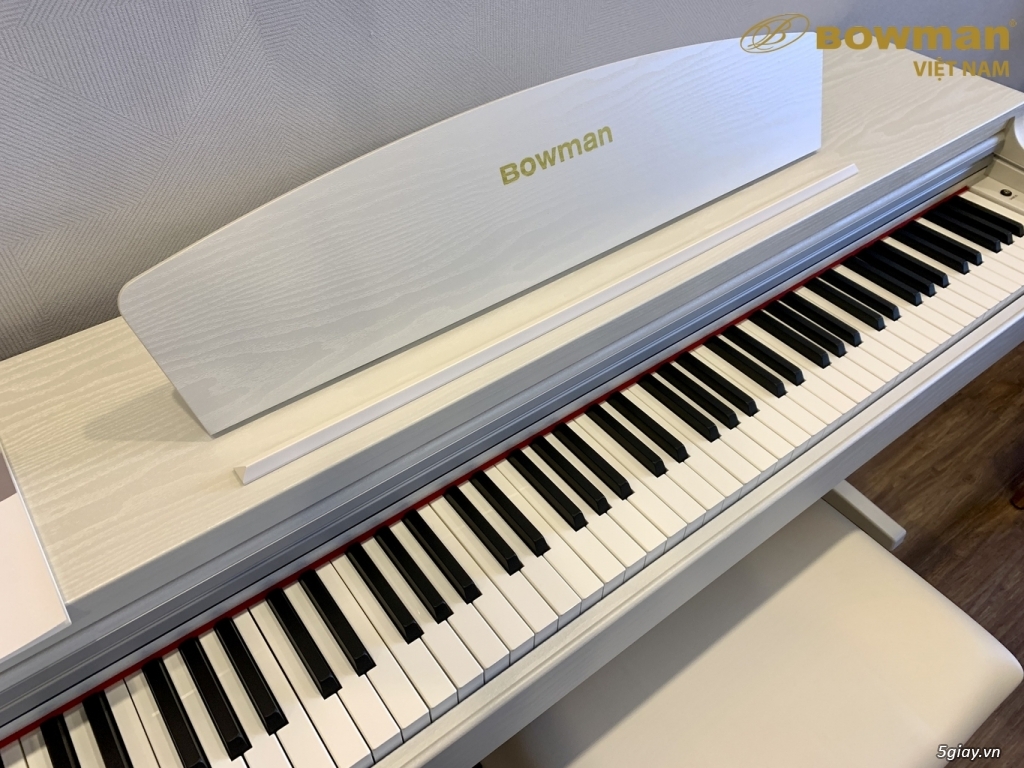 PIANO điện MỚI BOWMAN CX250 phù hợp cho mọi lứa tuổi - 3