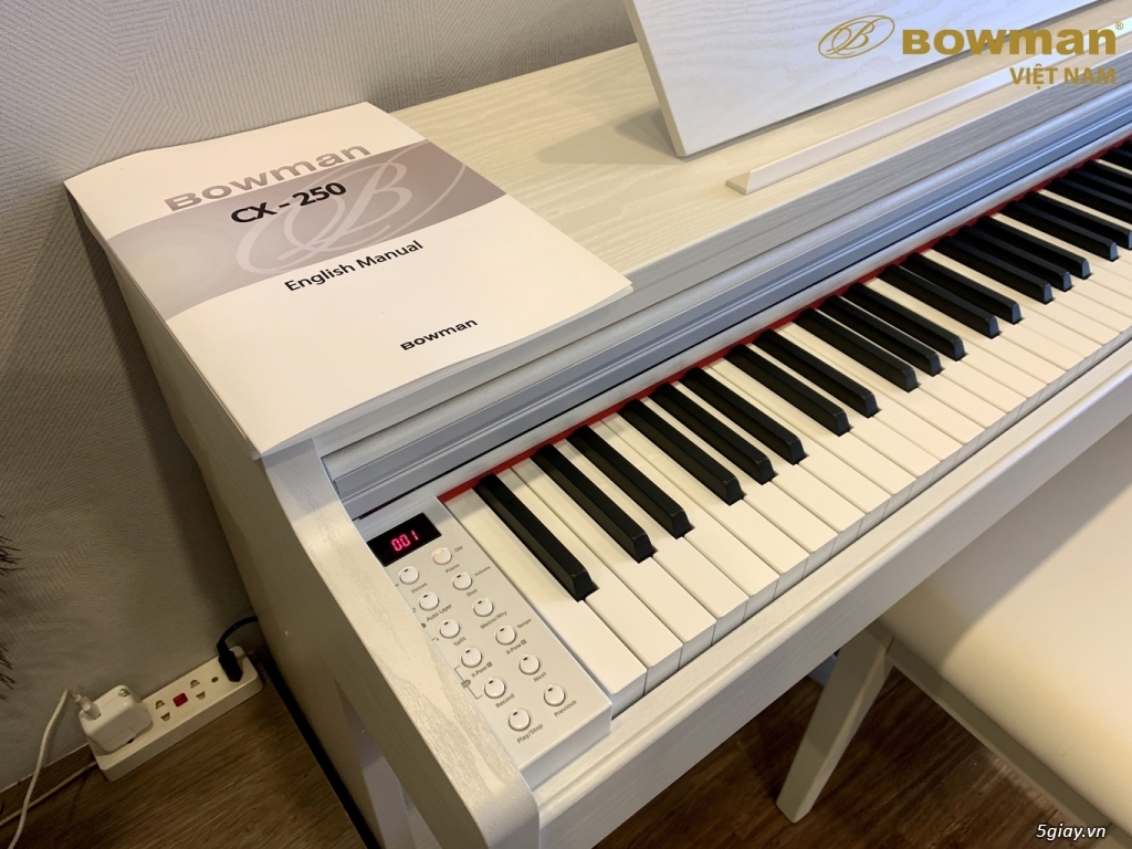 PIANO điện MỚI BOWMAN CX250 phù hợp cho mọi lứa tuổi - 2
