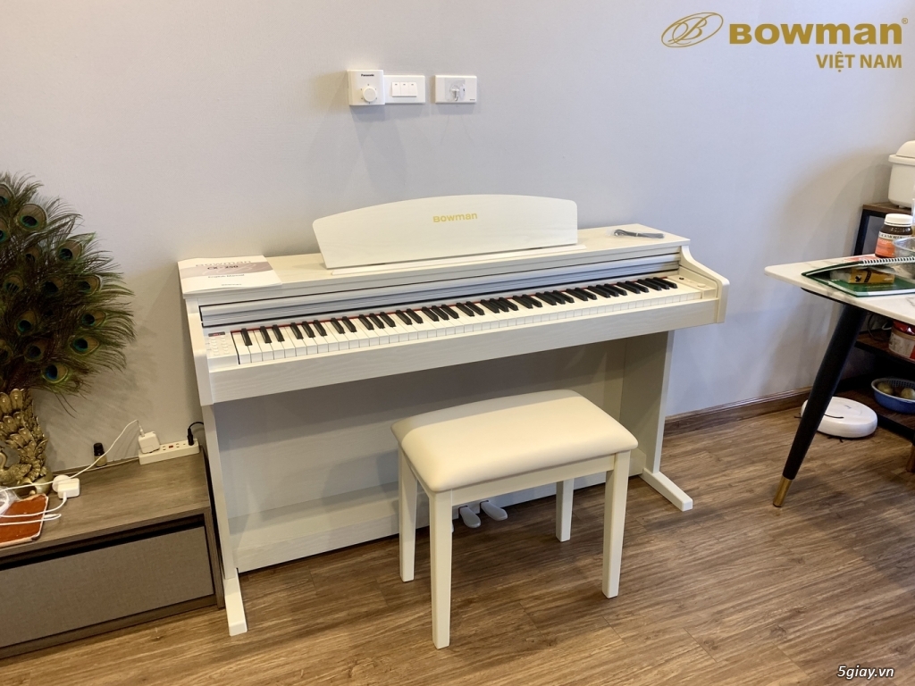 PIANO điện MỚI BOWMAN CX250 phù hợp cho mọi lứa tuổi - 1