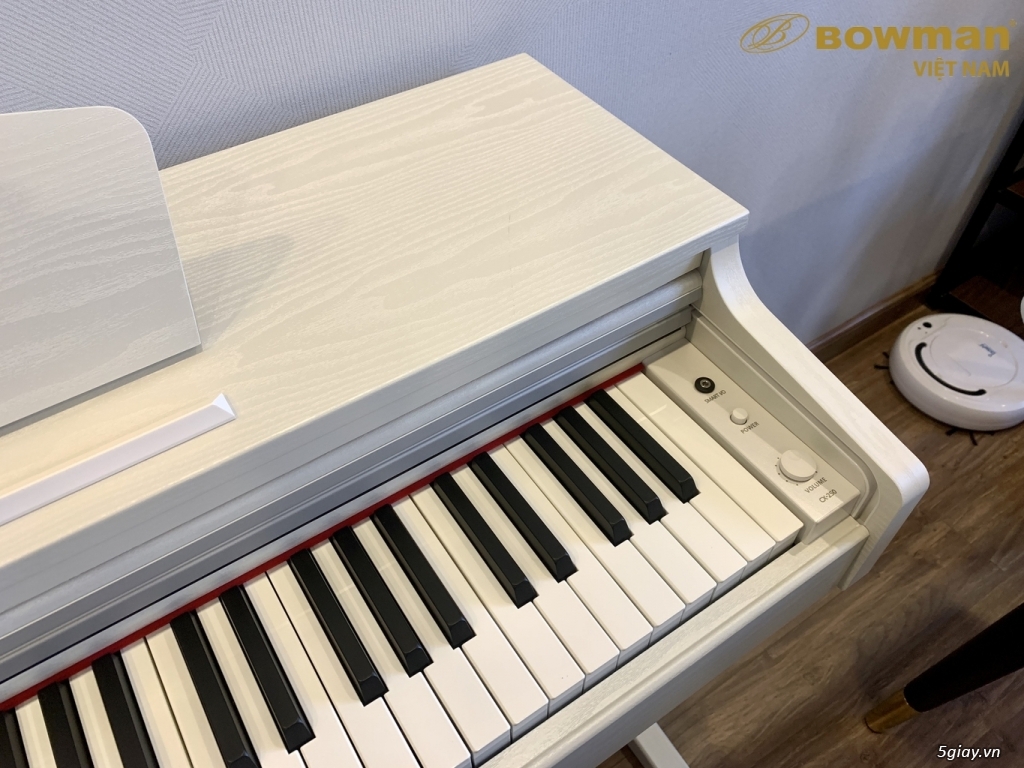 PIANO điện MỚI BOWMAN CX250 phù hợp cho mọi lứa tuổi - 4