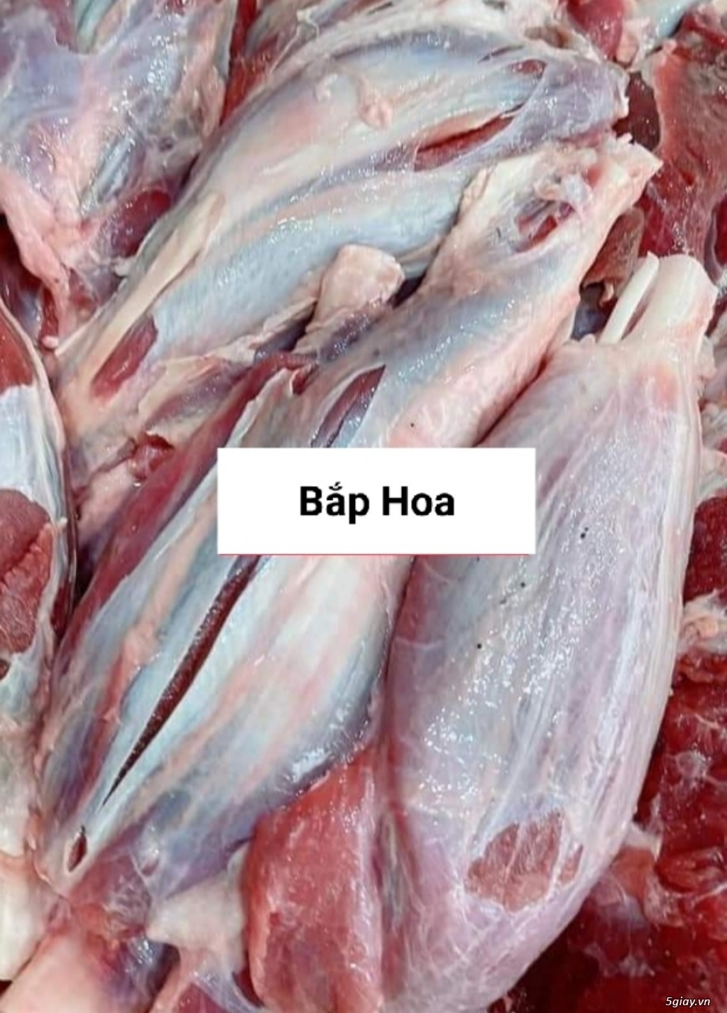 Tuỷ Bò( Tủy Bò ) - 23
