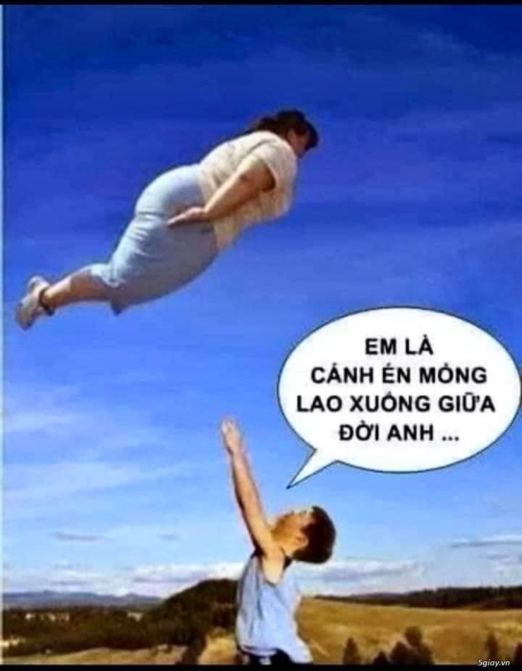 Hình hài hước... Nhiều thể loại vui nhôn - 2