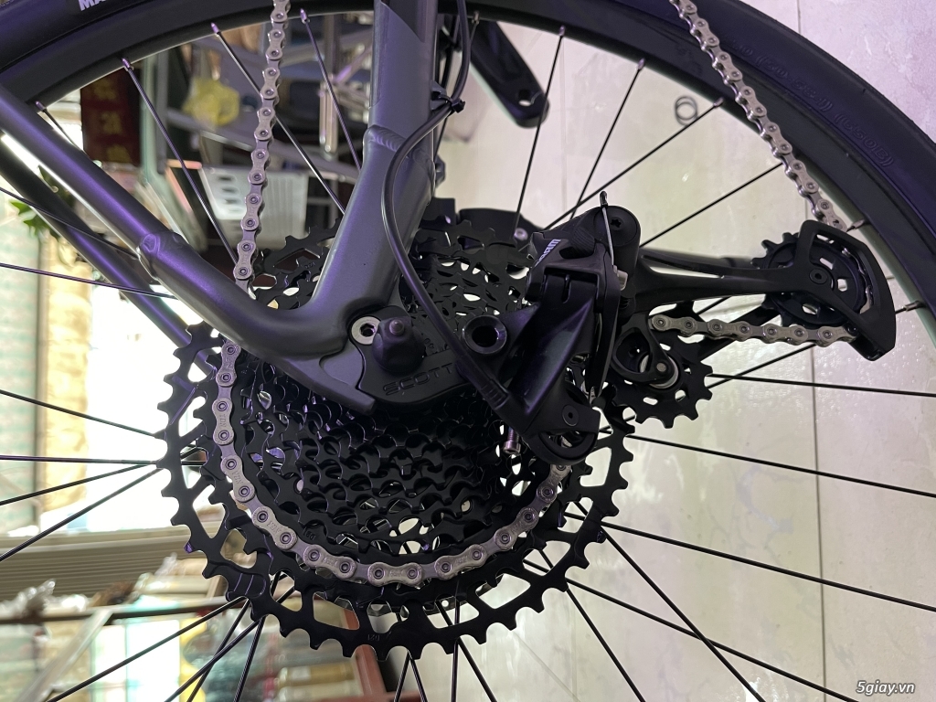 Cần bán MTB Scott scale 770 Size M 99,99% - 1