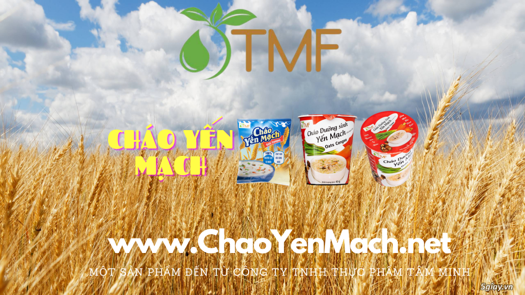 Cháo Yến Mạch - Bữa sáng dinh dưỡng cho người bận rộn - 4