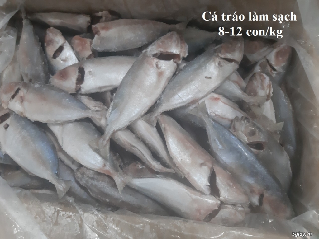Cần bán cá tráo làm sạch sỉ số lượng - 17