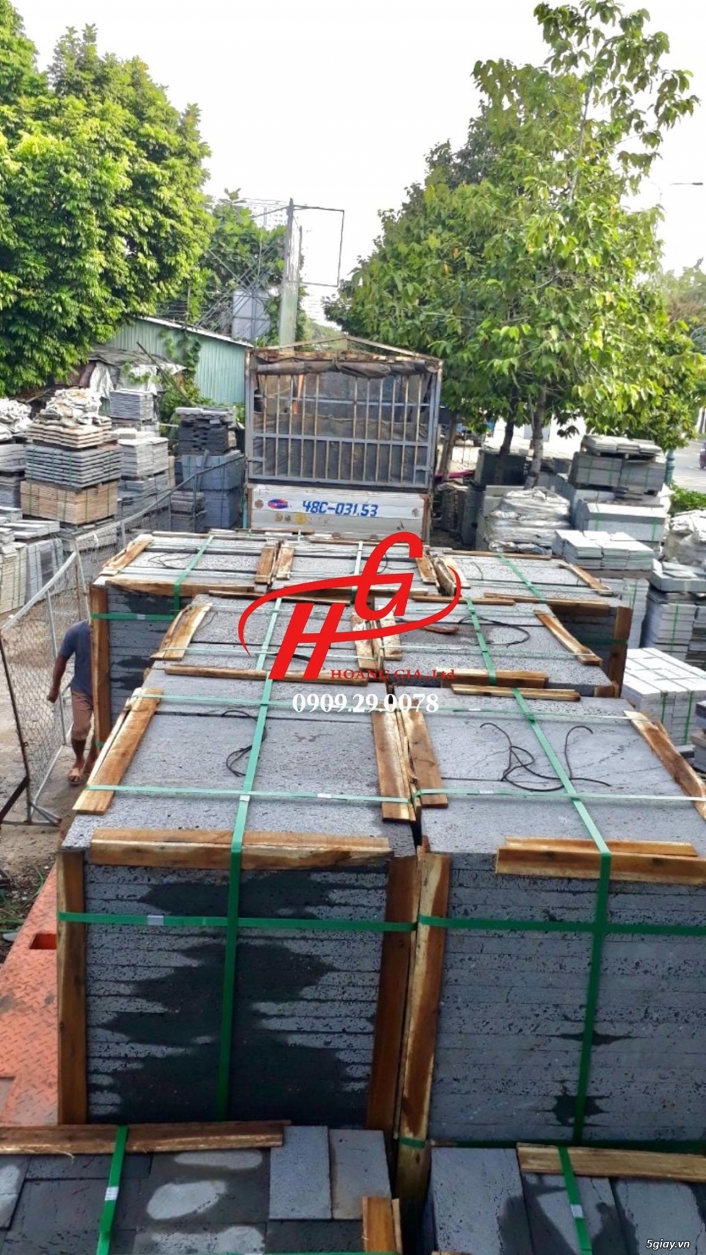 Đá tổ ong - 17