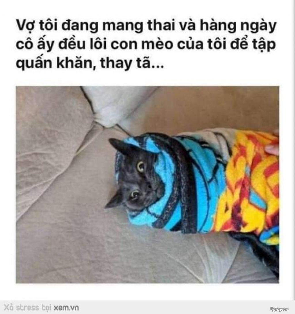 Hình hài hước... Nhiều thể loại vui nhôn - 2