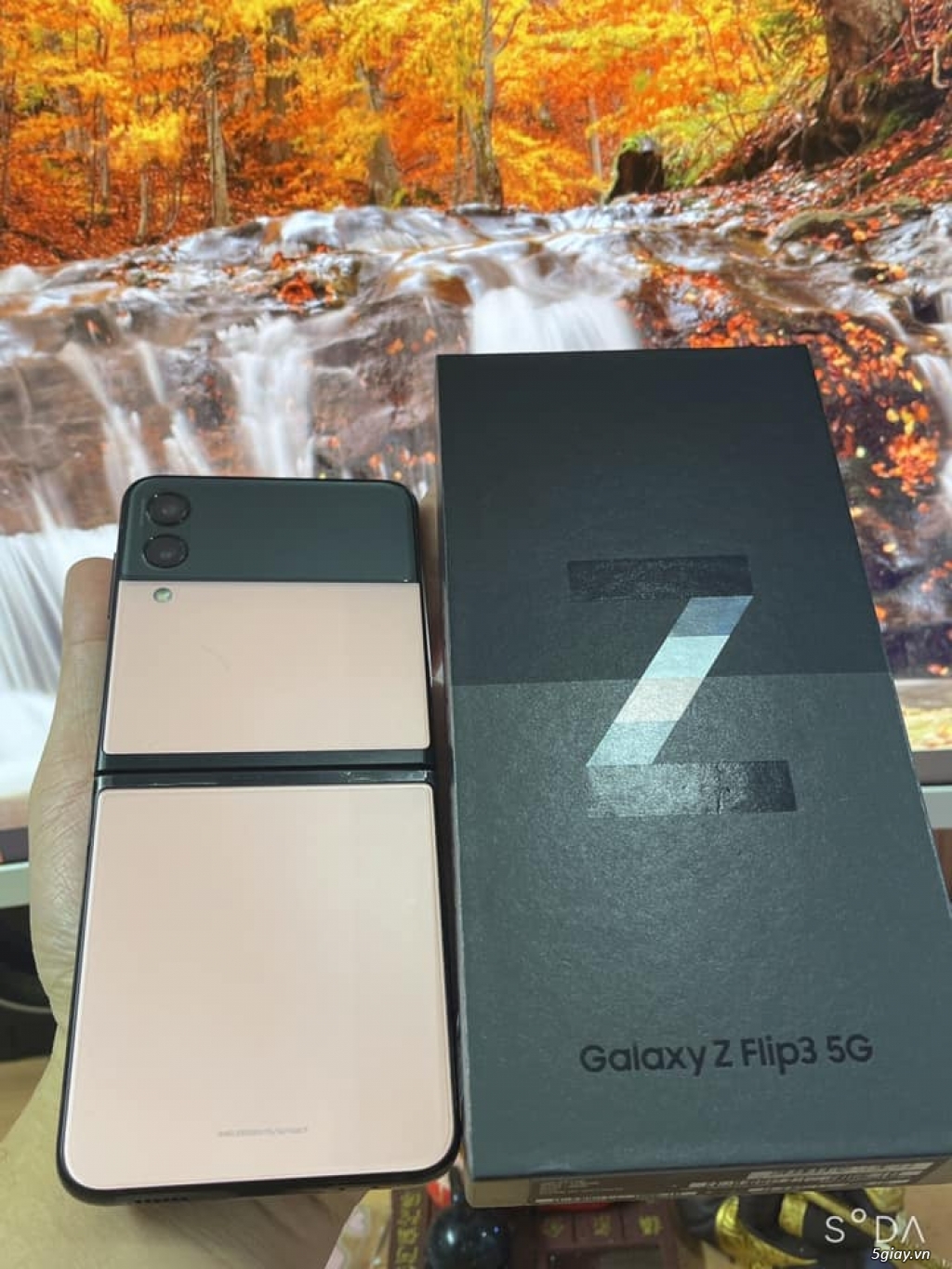 Samsung ZFlip 3 5G Hồng Bloom - 1