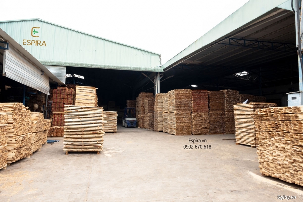 Cung cấp phôi gỗ tràm xẻ sấy giá sỉ tại xưởng, cung ứng pallet gỗ