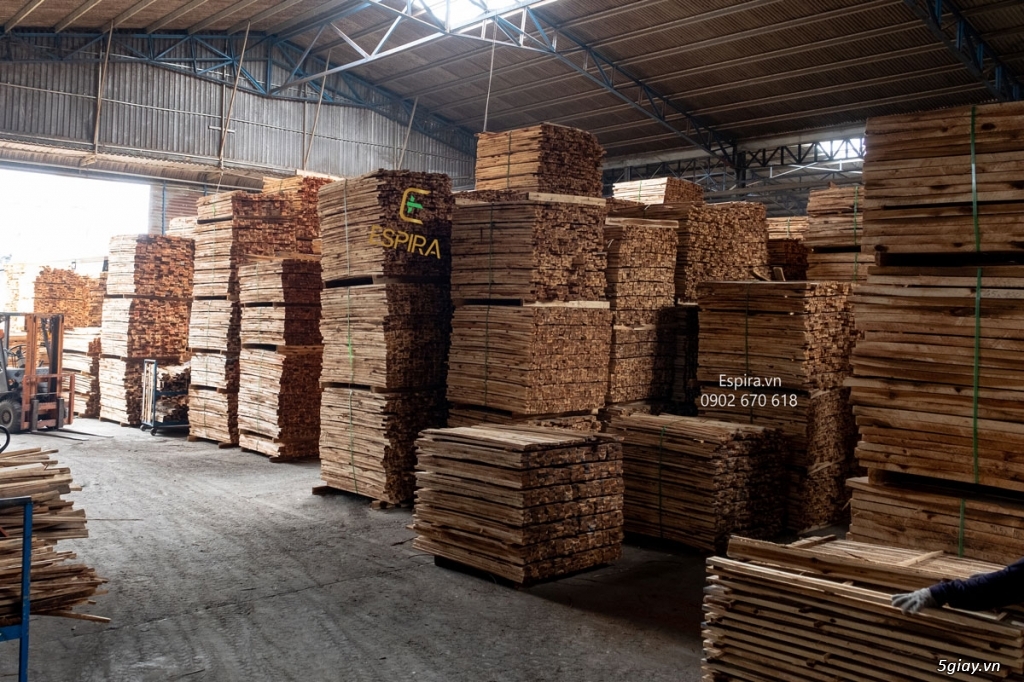 Cung cấp phôi gỗ tràm xẻ sấy giá sỉ tại xưởng, cung ứng pallet gỗ - 5