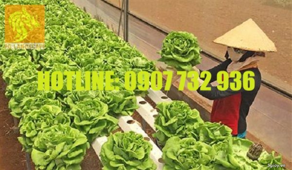 Đất Đỏ Trồng Cây - 1