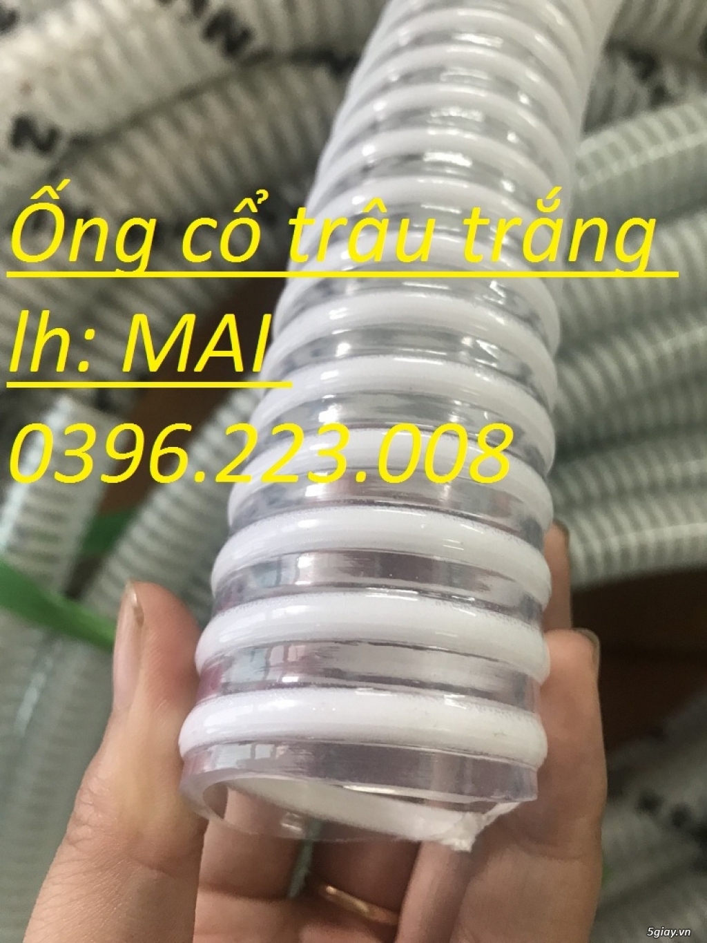 (Ống gân nhựa trắng)ống cổ trâu gân nhựa phi 40, phi 50 , phi 60,phi75 - 5