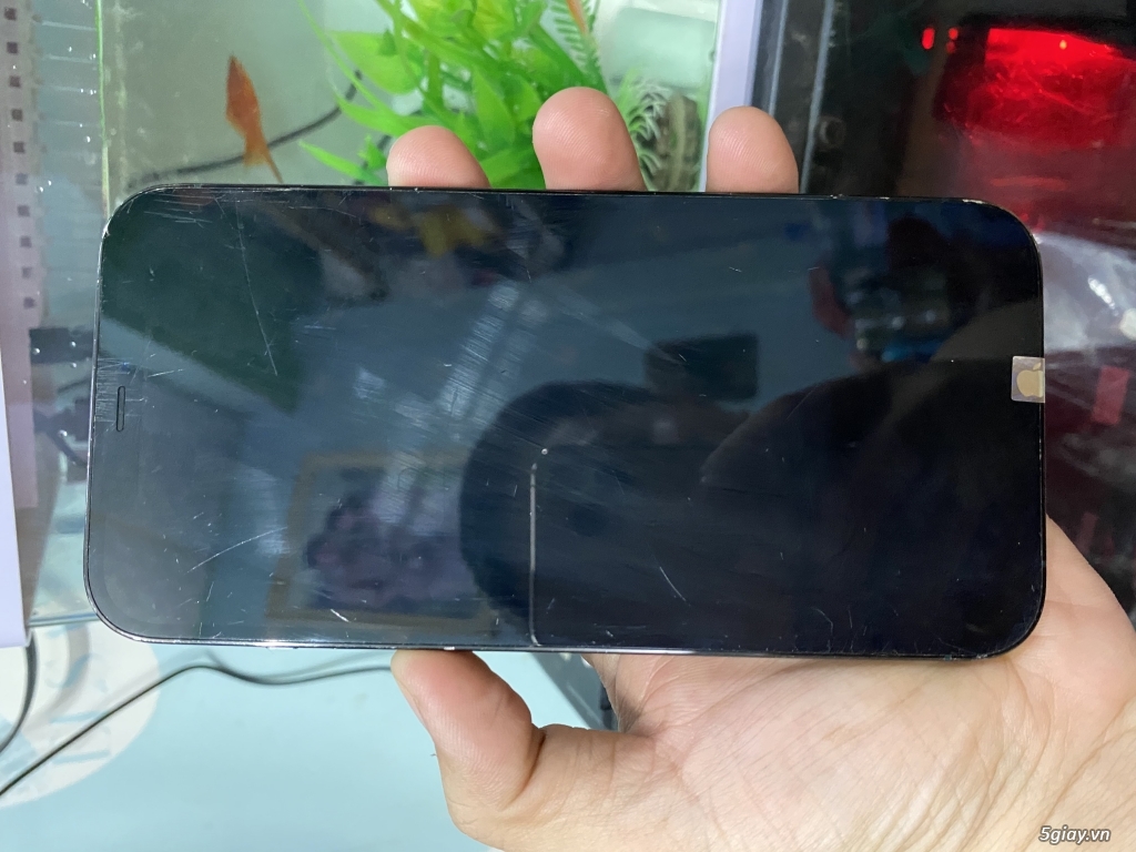 Iphone 12 Promax 128Gb Xanh
