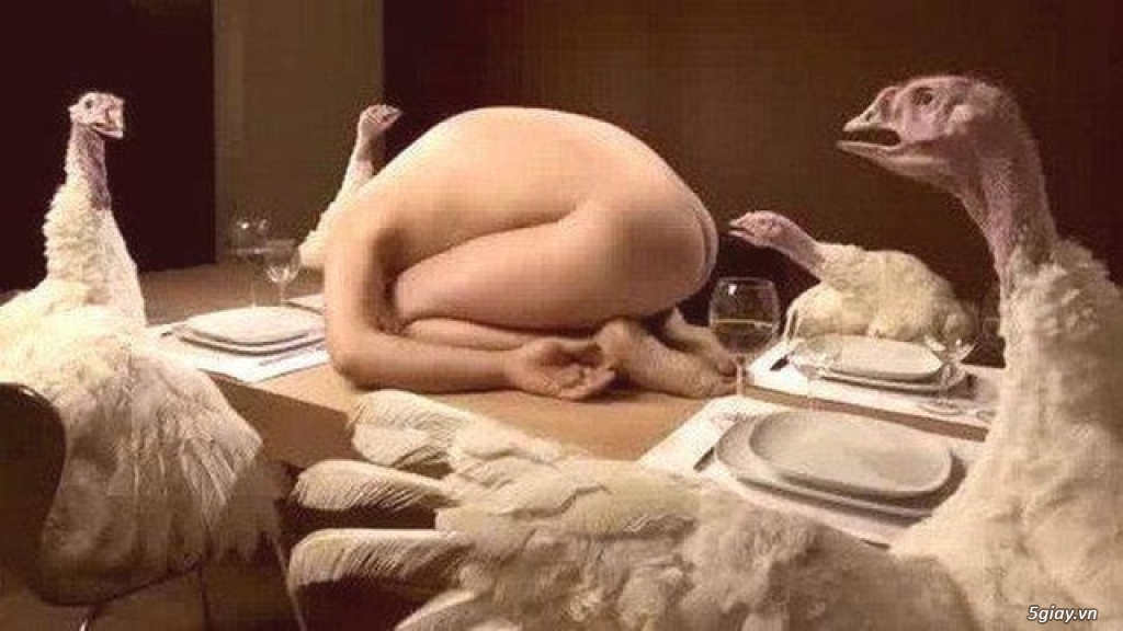 Hình hài hước... Nhiều thể loại vui nhôn - 2