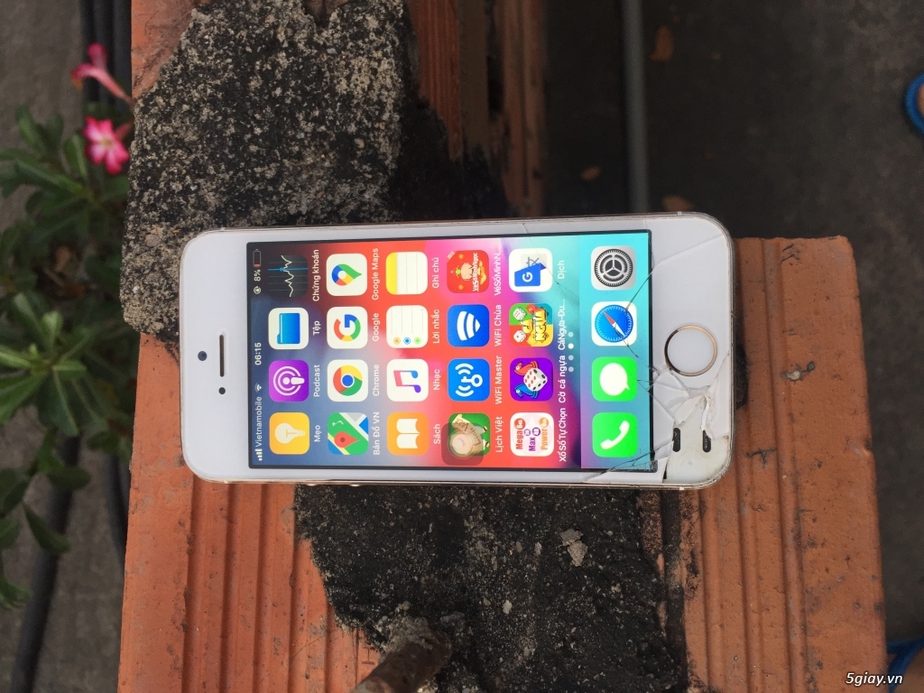 HCM - iPhone 5S trắng 32GB, LL/A quốc tế Mỹ giá bèo - 3