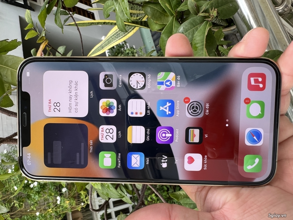 Em bán 12 pro max 128 gold LL 99% đẹp keng zin all QT - 2