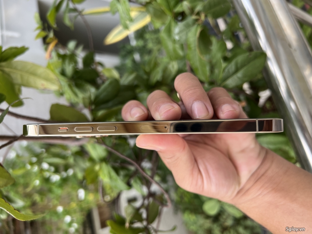 Em bán 12 pro max 128 gold LL 99% đẹp keng zin all QT - 3