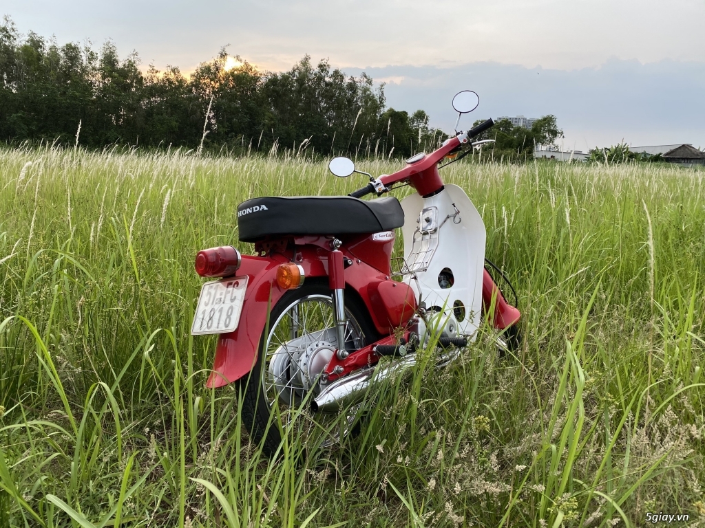 Bán Honda cub số đẹp 1818