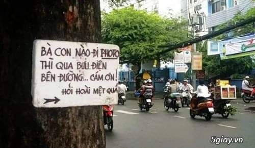 Hình hài hước... Nhiều thể loại vui nhôn