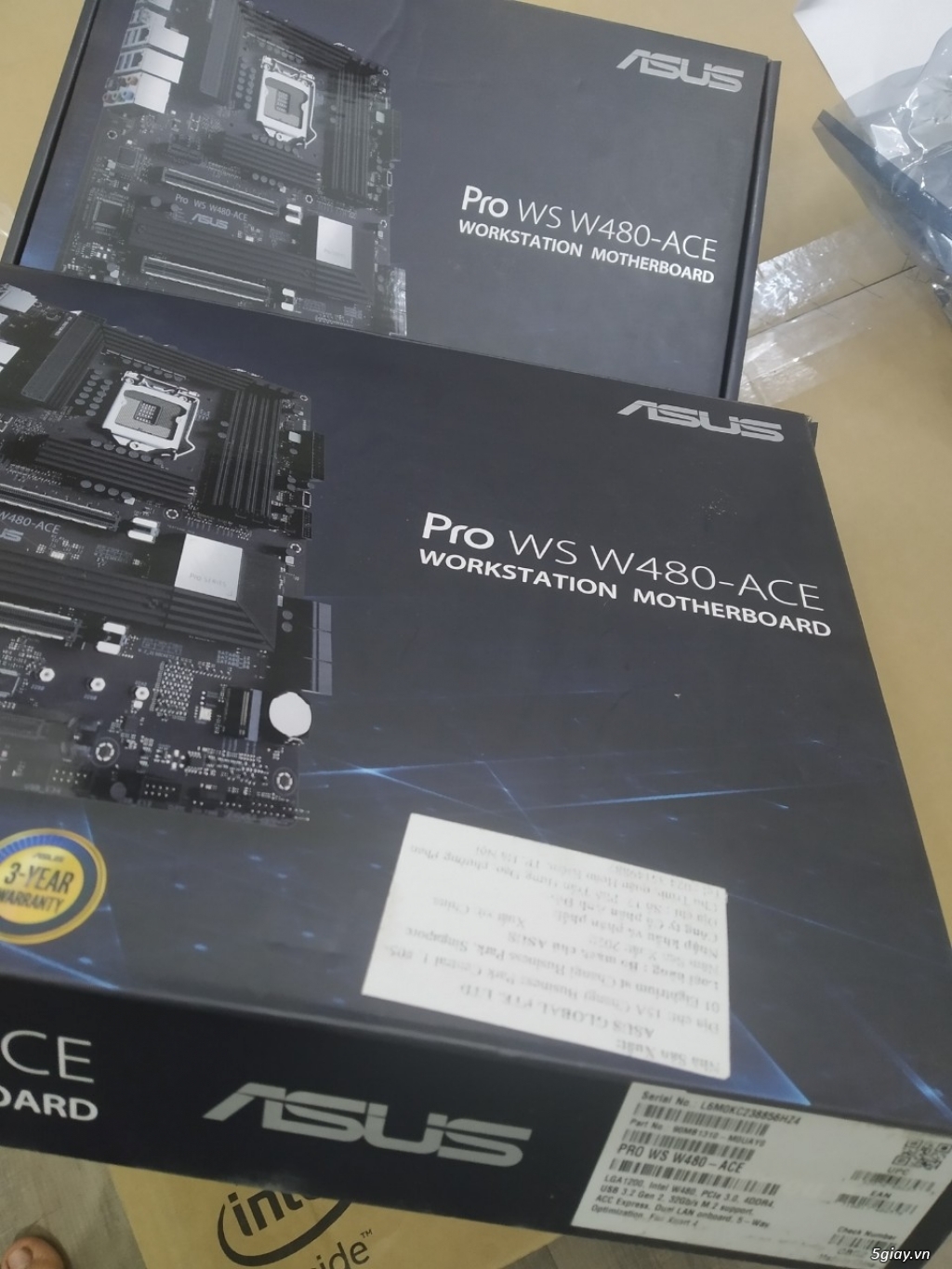 Asus pro ws w480 ace обзор