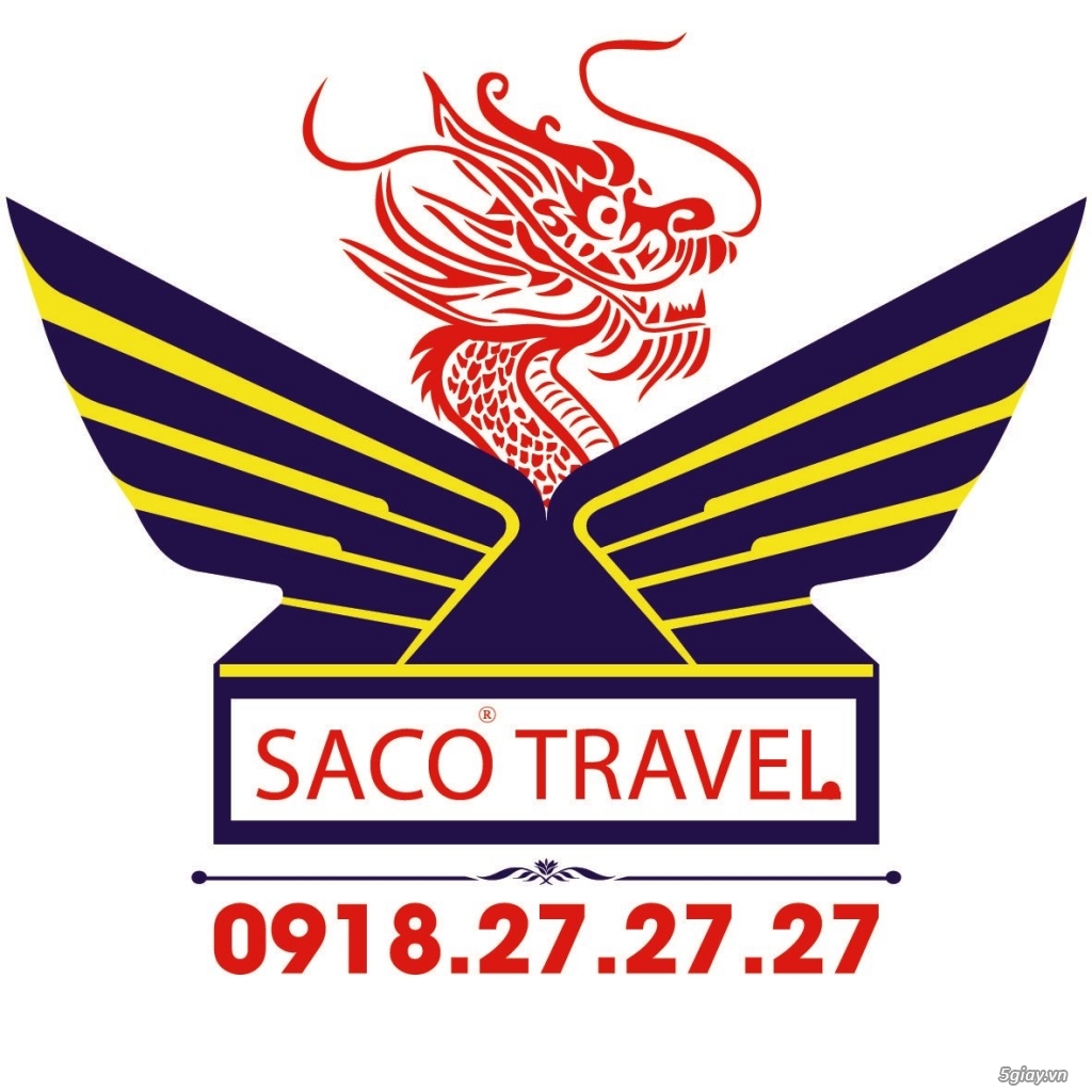 Logo Saco Travel Cho Thuê Xe 45 Chỗ - 10