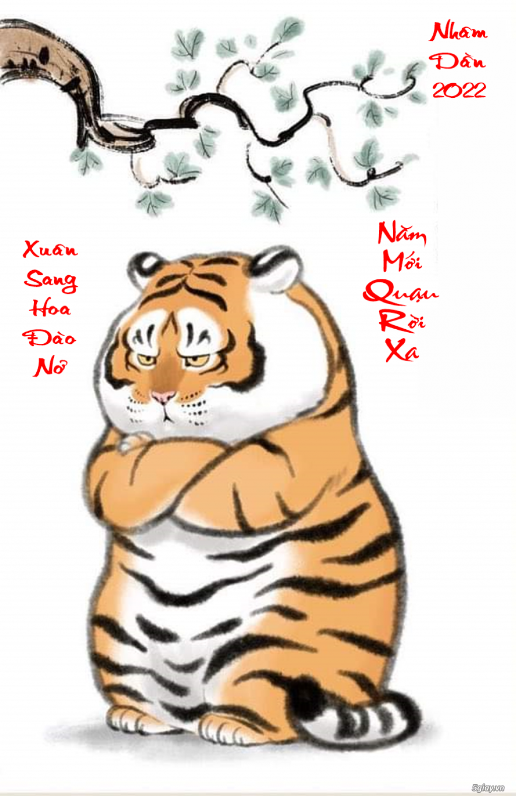 Hình hài hước... Nhiều thể loại vui nhôn