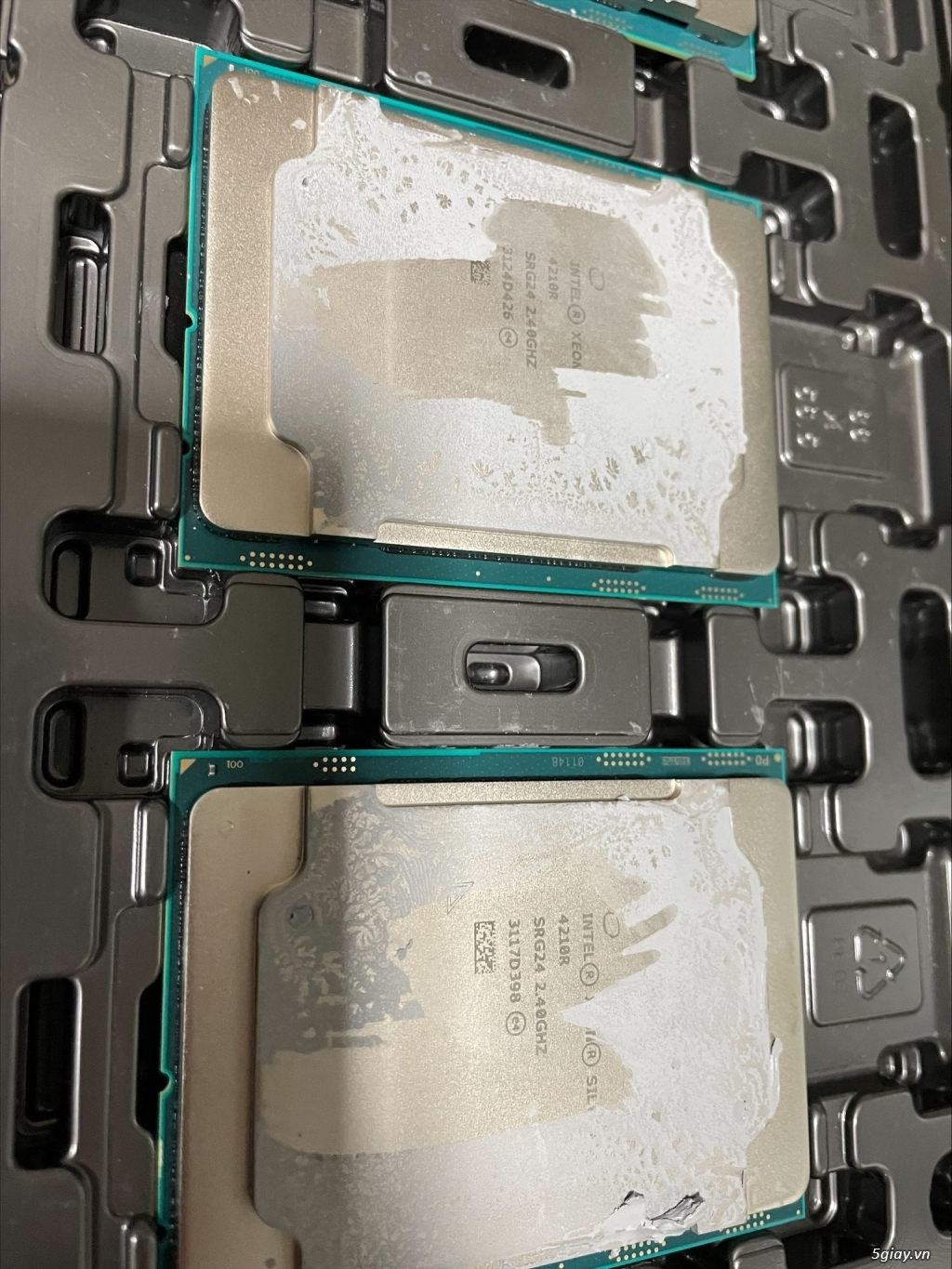 Xeon silver 4210r сравнение