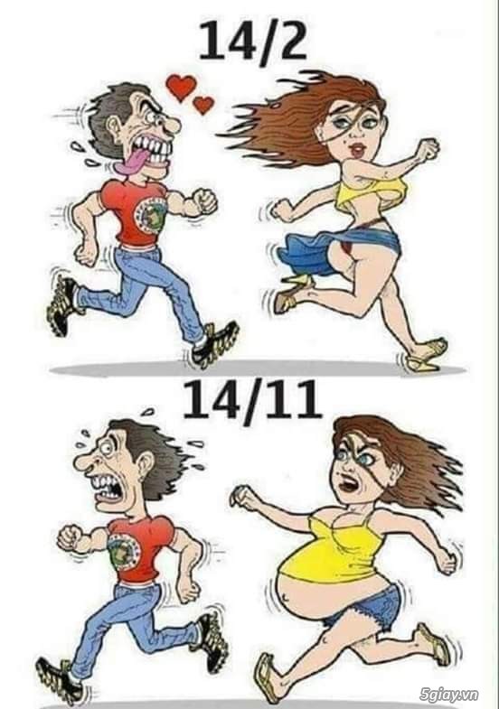 Hình hài hước... Nhiều thể loại vui nhôn