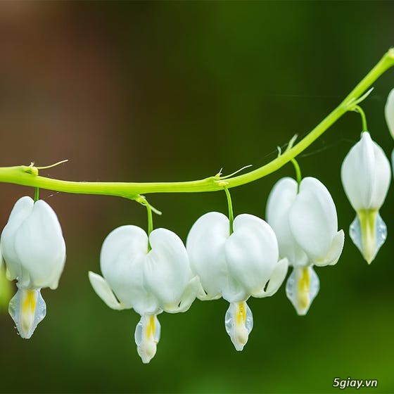 Hình hài hước... Nhiều thể loại - 2