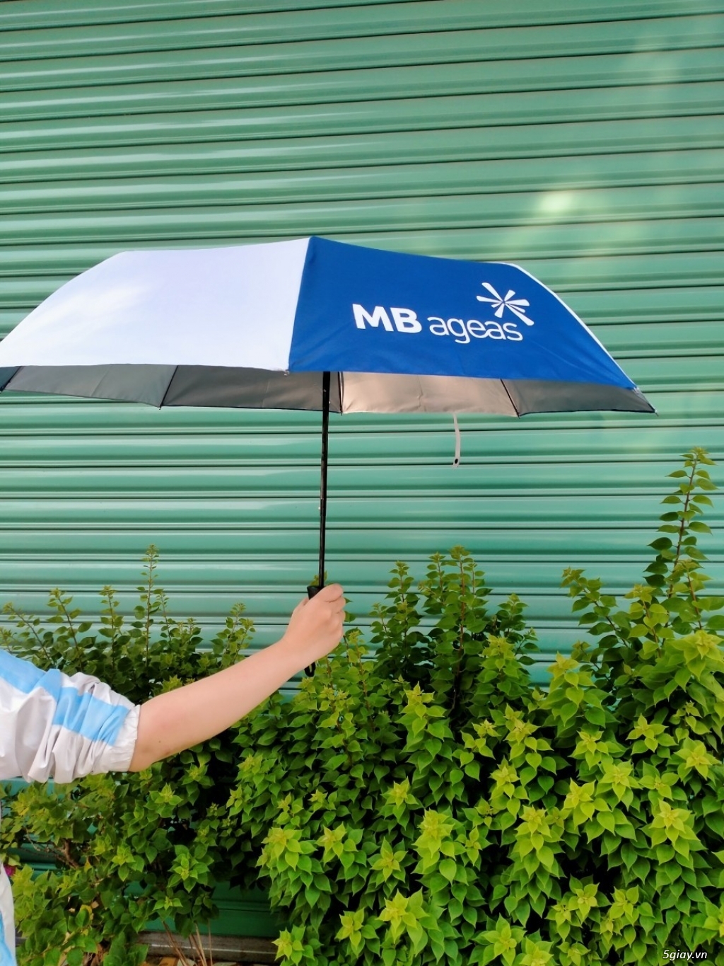 dù gấp 3 in logo - 2