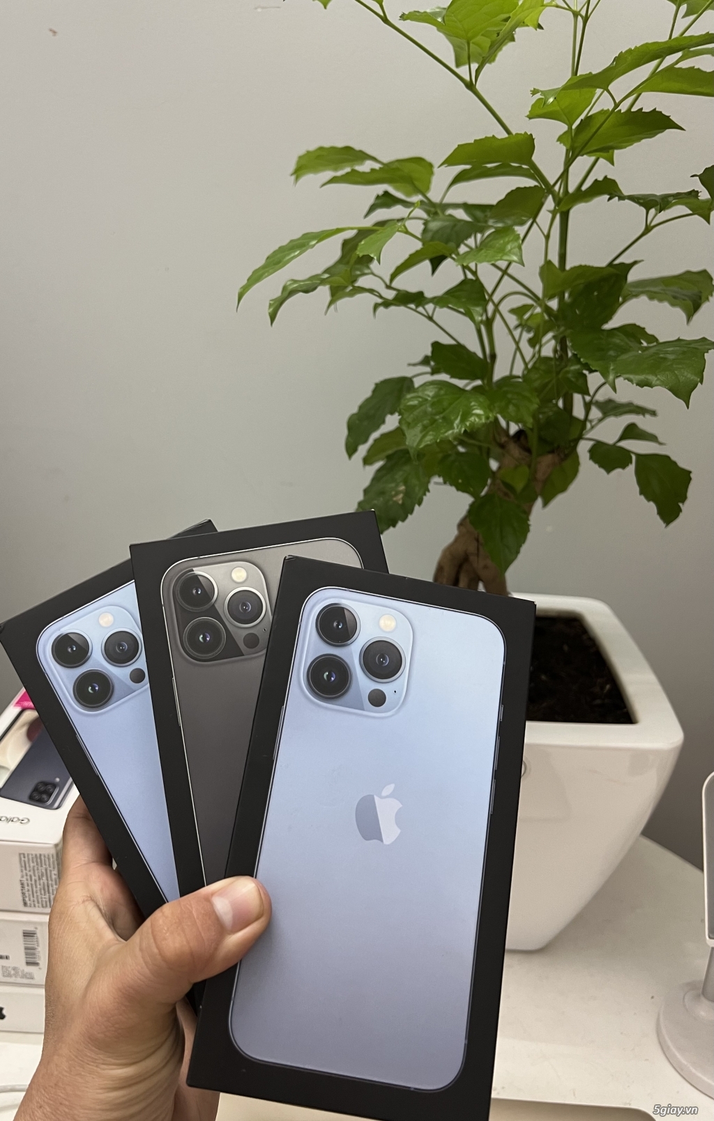 ✨iPhone 13 pro max Lock Blue/Grey 128g chưa act full box LL - 2