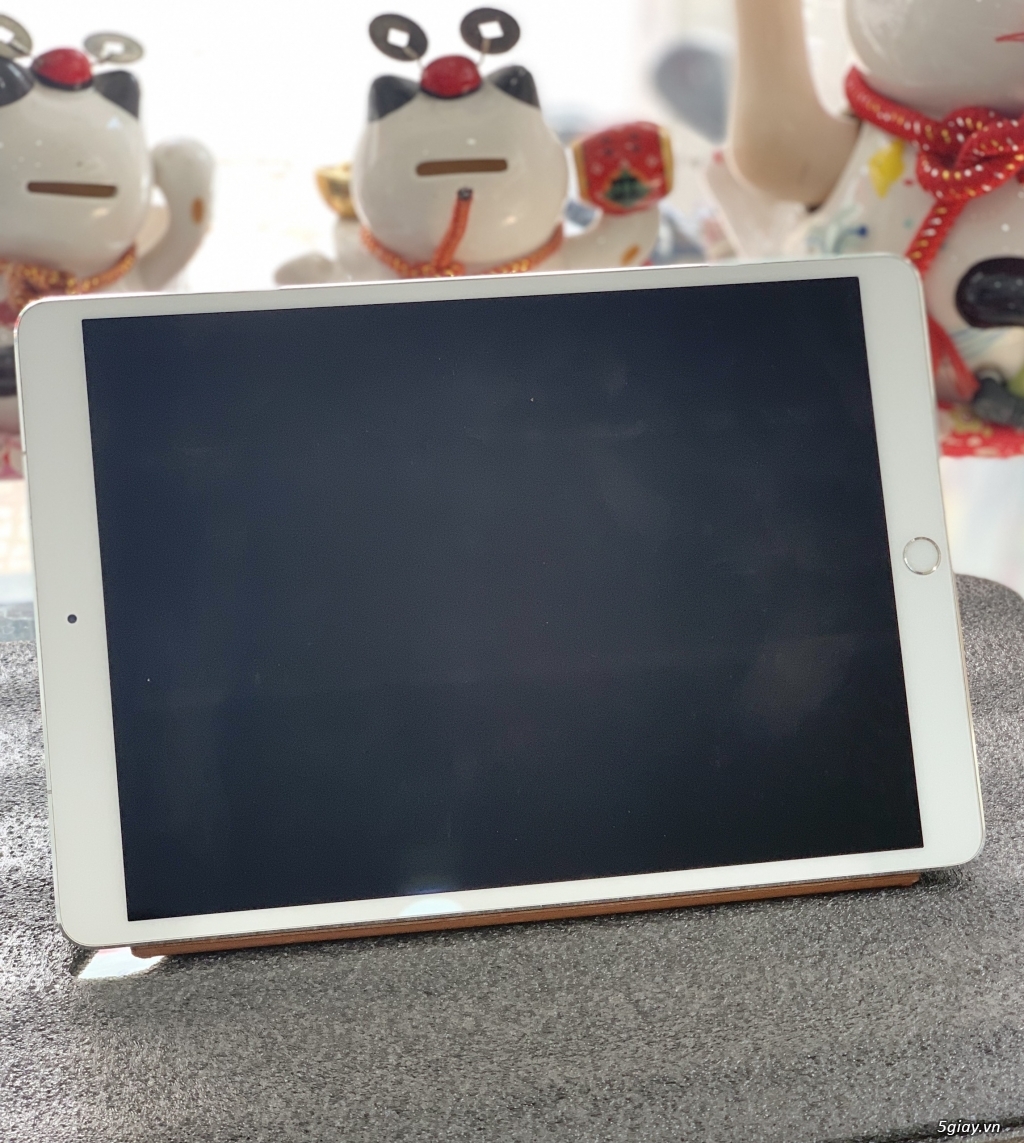 iPad Pro 2015 256Gb 4G máy cũ ngoại hình đẹp - 2