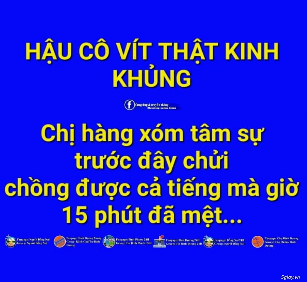Hình hài hước... Nhiều thể loại vui nhôn