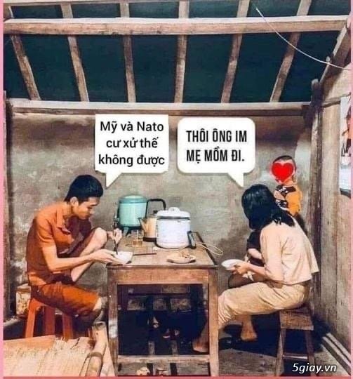 Hình hài hước... Nhiều thể loại vui nhôn