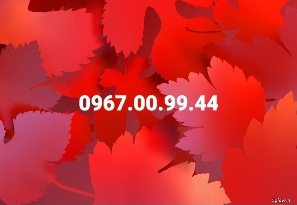 Bán sim số cặp (0967.00.99.44)