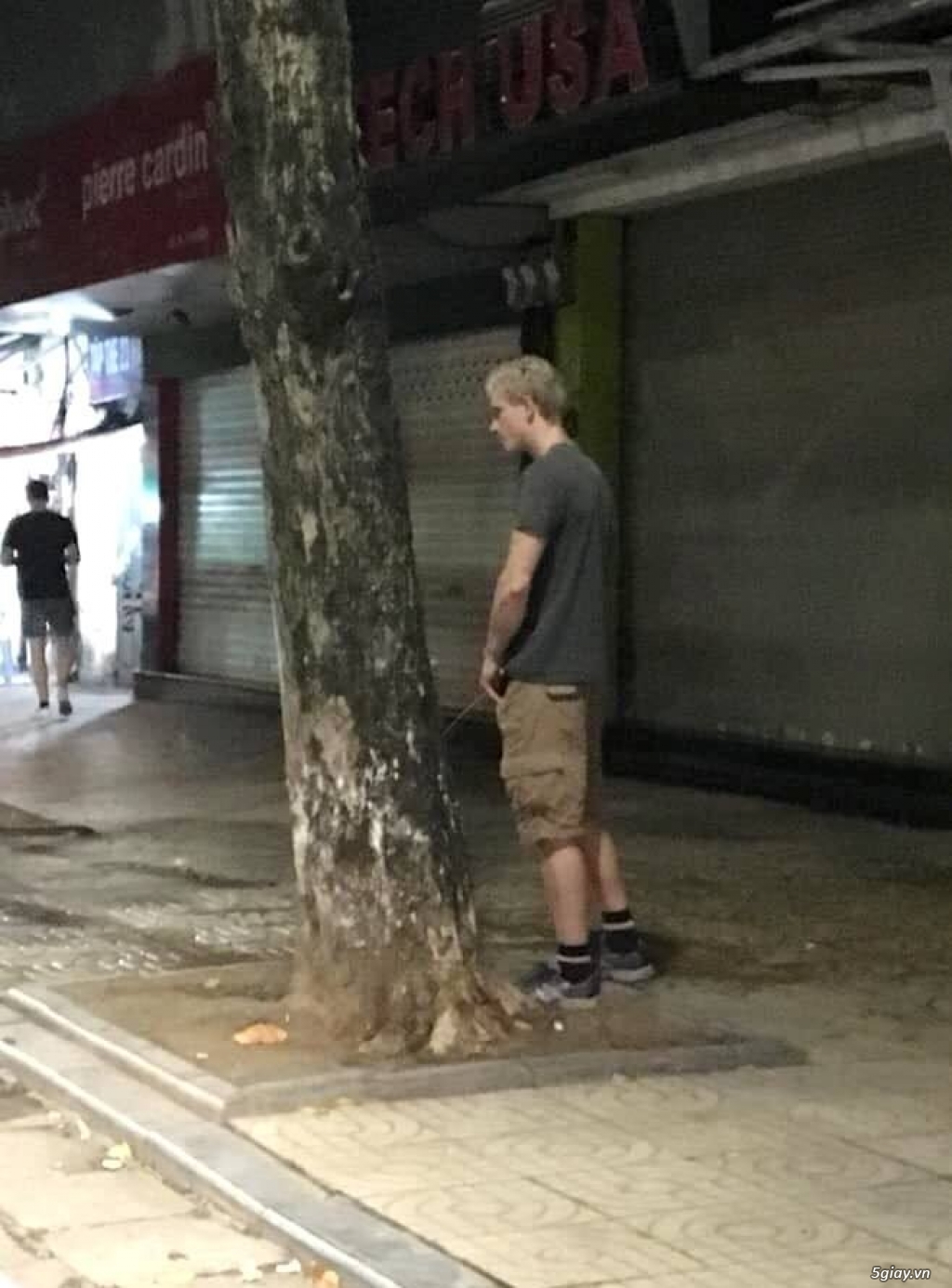 Hình hài hước... Nhiều thể loại vui nhôn