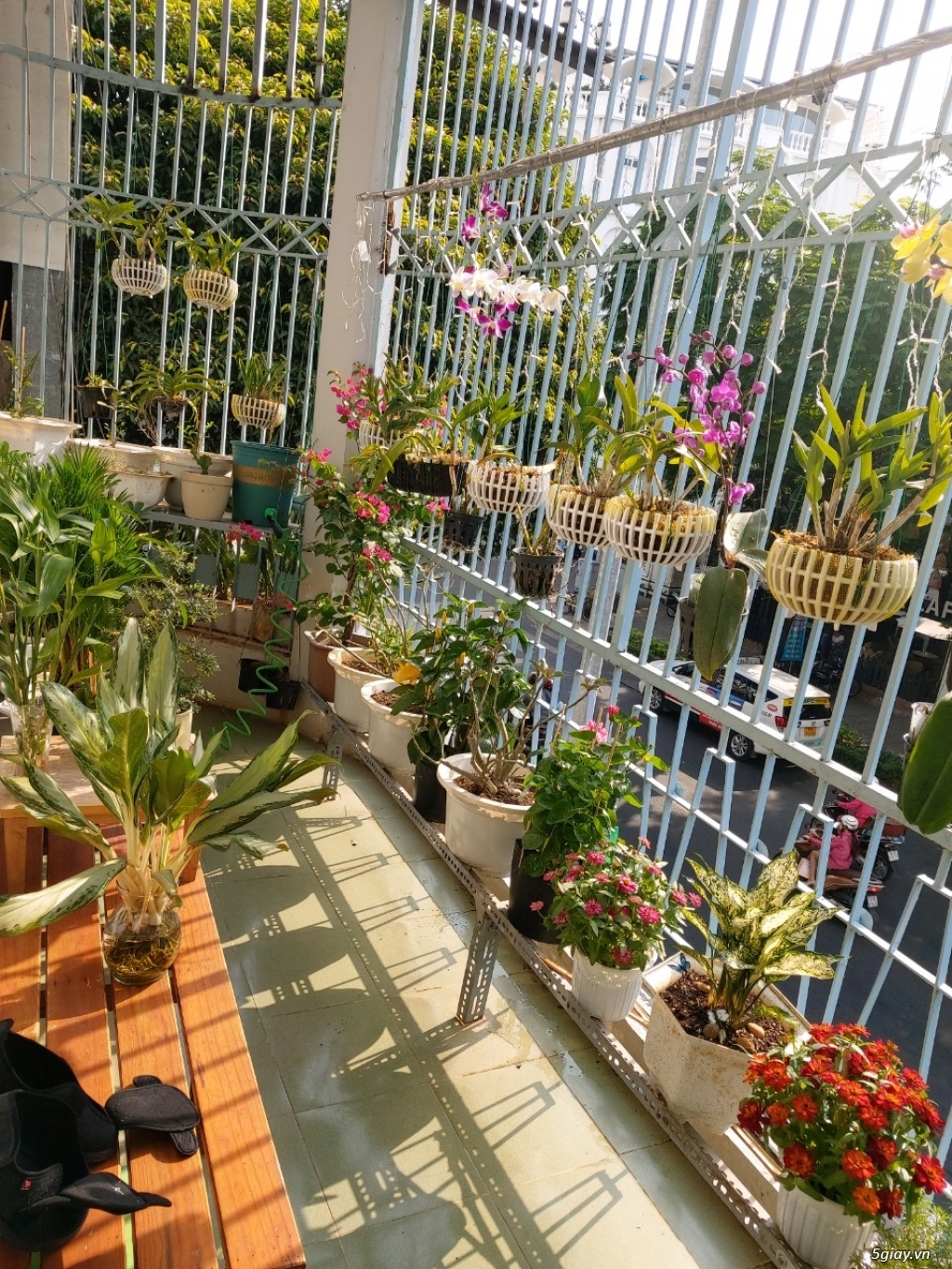 Bán Shop House Trung Tâm Q10 đối diện Q3, Sử Dụng >107m - 5