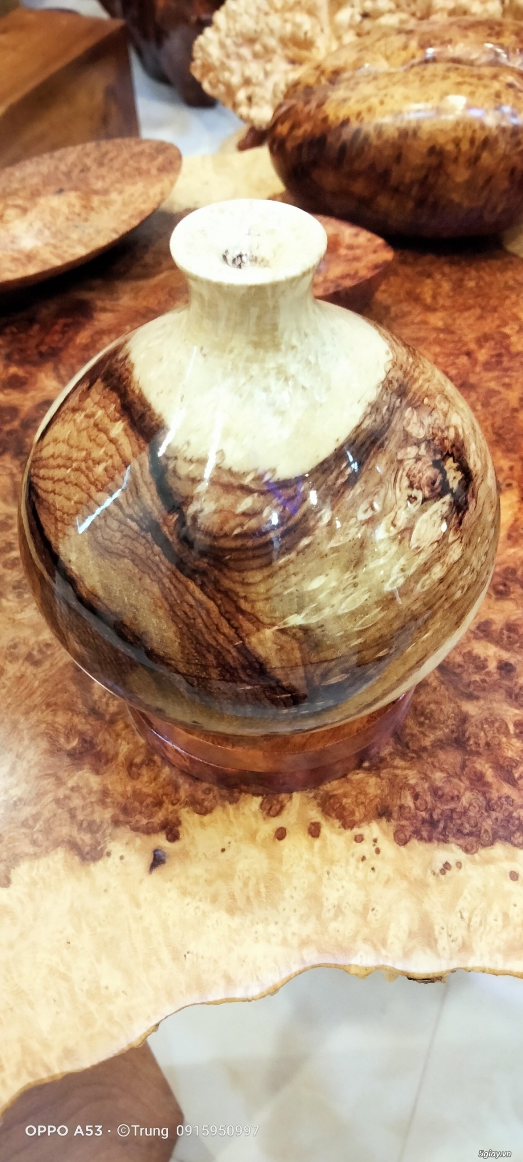 chum cẩm chỉ 0915950997 - 2