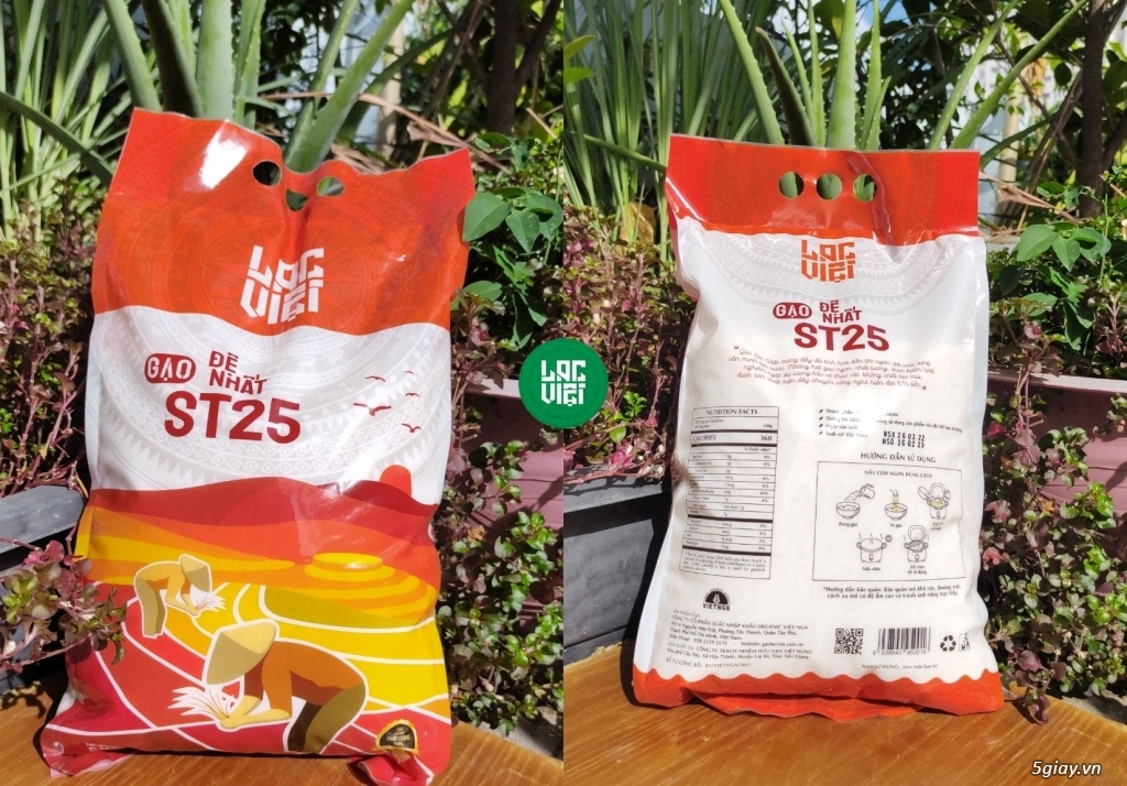 Gạo ST25 Lạc Việt chính hãng - 1