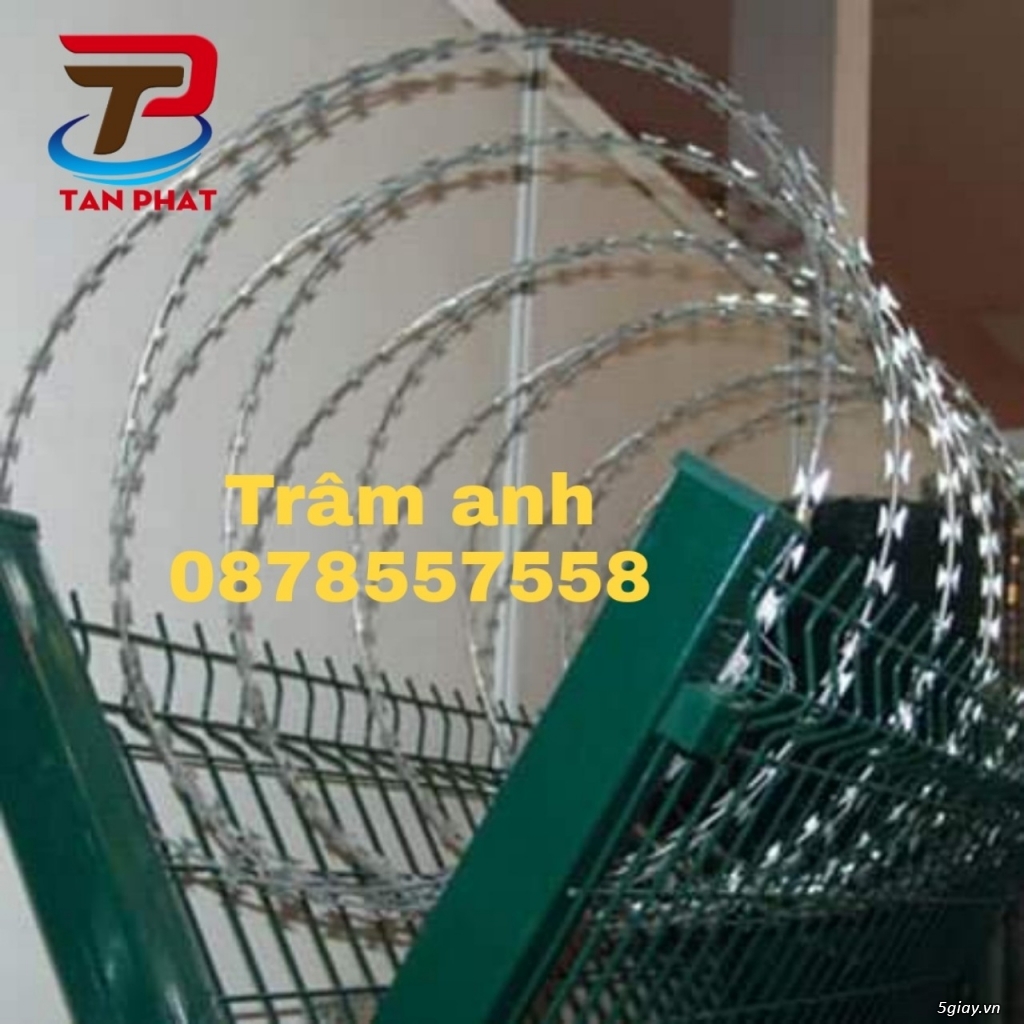 báo gái daay kẽm gai hình dao - 2