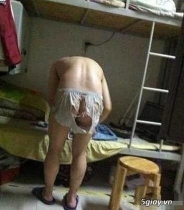 Hình hài hước... Nhiều thể loại vui nhôn - 1