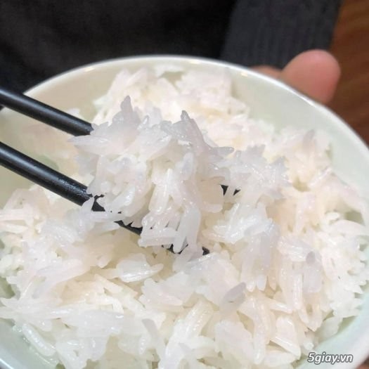 Gạo đặc sản ST25 Gente Food túi 5kg, Cơm Thơm, Dai, mềm, vị ngọt - 4